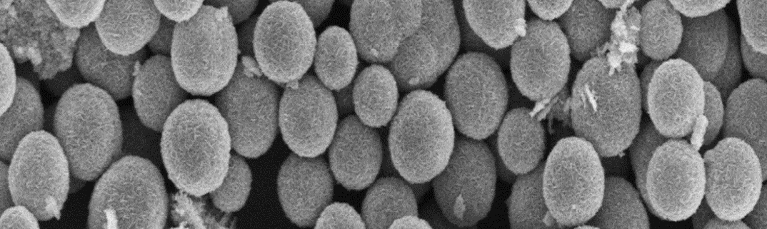 VO2 hollow nanospheres